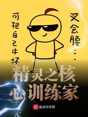 精灵之核心训练家